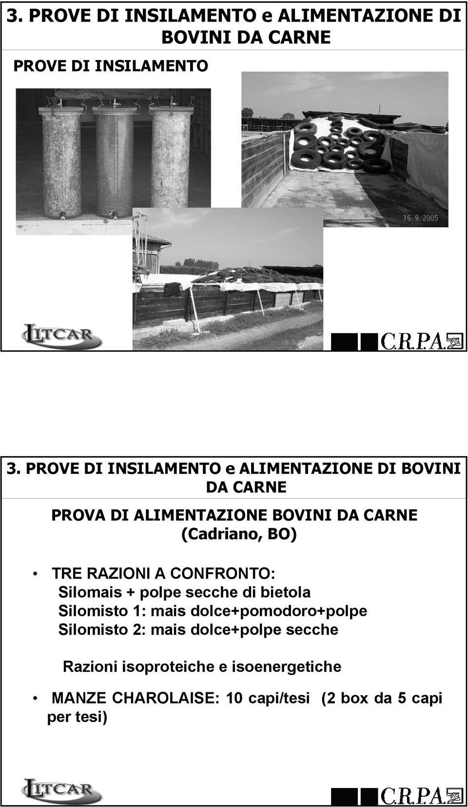 BO) TRE RAZIONI A CONFRONTO: Silomais + polpe secche di bietola Silomisto 1: mais dolce+pomodoro+polpe