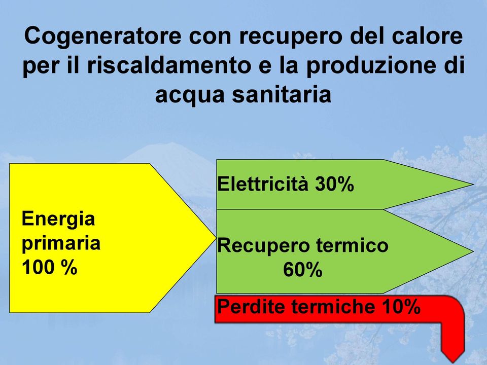 sanitaria Elettricità 30% Energia primaria