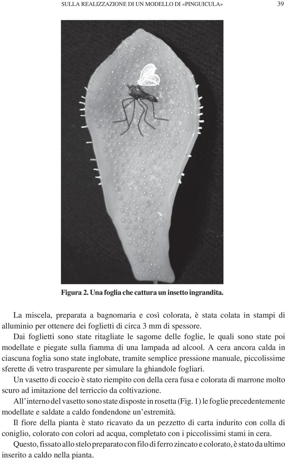 Dai foglietti sono state ritagliate le sagome delle foglie, le quali sono state poi modellate e piegate sulla fiamma di una lampada ad alcool.