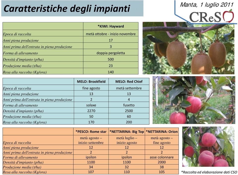 prima dell'entrata in piena produzione 2 4 Forma di allevamento solaxe fusetto Densità d'impianto (p/ha) 2270 2500 Produzione media (t/ha) 50 60 Resa alla raccolta (Kg/ora) 170 200 *PESCO: Rome star