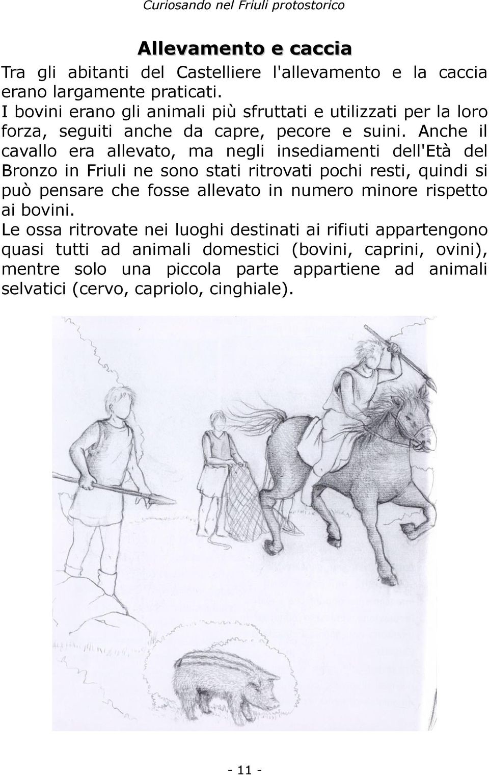 Anche il cavallo era allevato, ma negli insediamenti dell'età del Bronzo in Friuli ne sono stati ritrovati pochi resti, quindi si può pensare che fosse
