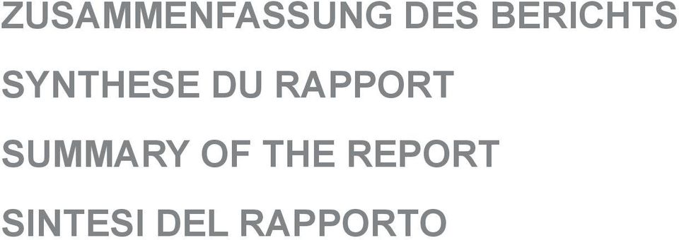 RAPPORT SUMMARY OF THE