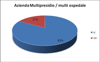 Report AIIC 2009-10 SERVIZI DI INGEGNERIA CLINICA IN ITALIA: PROFESSIONISTI ED ATTIVITÀ Secondo i dati del Ministro della Salute (2008) vi sono in Italia: 180 ASL 78 Aziende Ospedaliere 27 Aziende