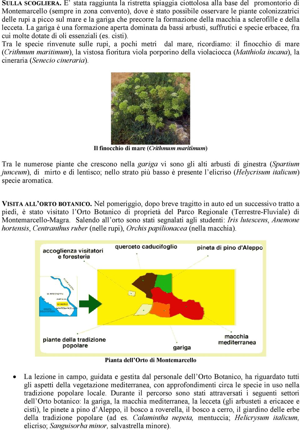 sul mare e la gariga che precorre la formazione della macchia a sclerofille e della lecceta.