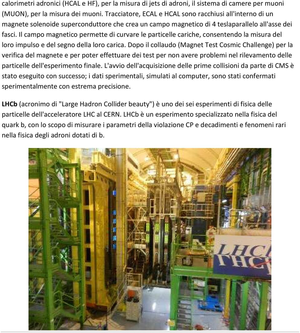 Il campo magnetico permette di curvare le particelle cariche, consentendo la misura del loro impulso e del segno della loro carica.