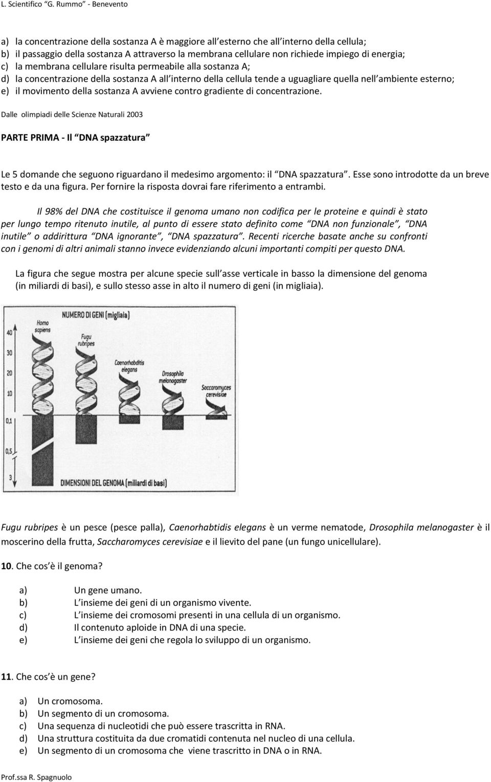 A avviene contro gradiente di concentrazione. Dalle olimpiadi delle Scienze Naturali 2003 PARTE PRIMA - Il DNA spazzatura Le 5 domande che seguono riguardano il medesimo argomento: il DNA spazzatura.