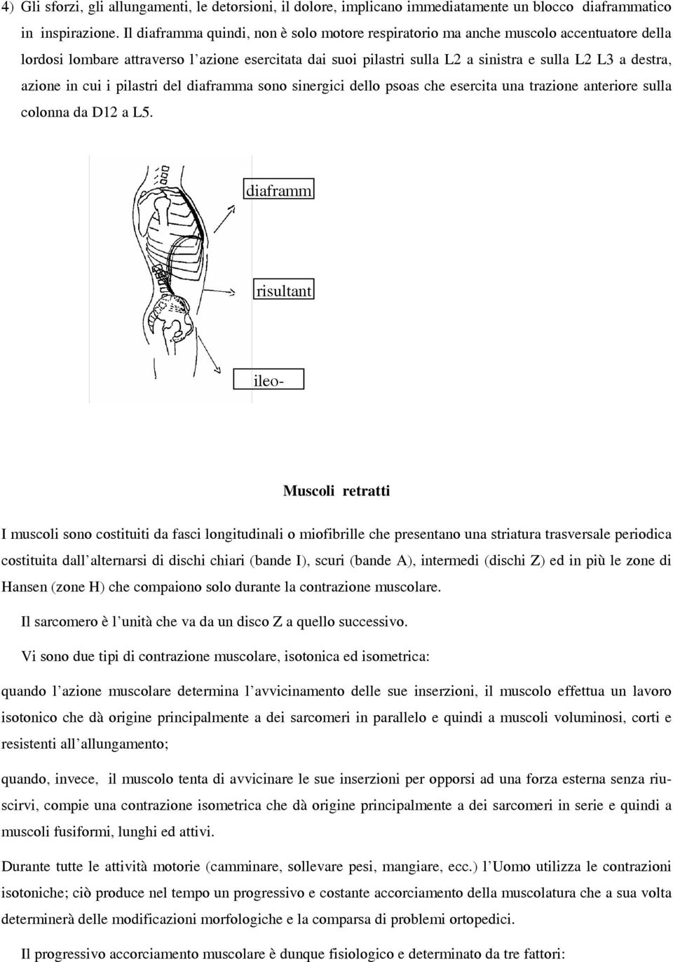 azione in cui i pilastri del diaframma sono sinergici dello psoas che esercita una trazione anteriore sulla colonna da D12 a L5.