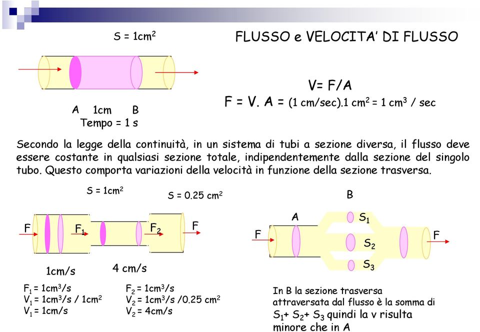 indipendentemente dalla sezione del singolo tubo. Questo comporta variazioni della velocità in funzione della sezione trasversa. S = 1cm 2 S = 0.