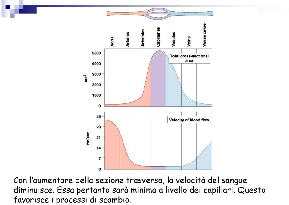 Essa pertanto sarà minima a livello dei