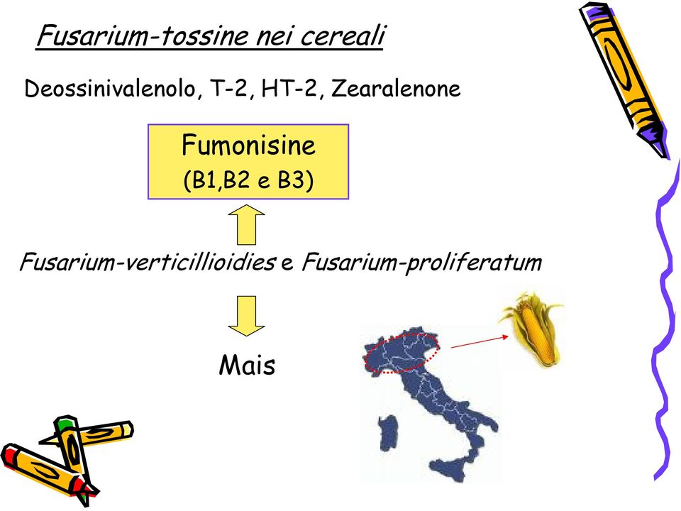 Zearalenone Fumonisine (B1,B2 e B3)