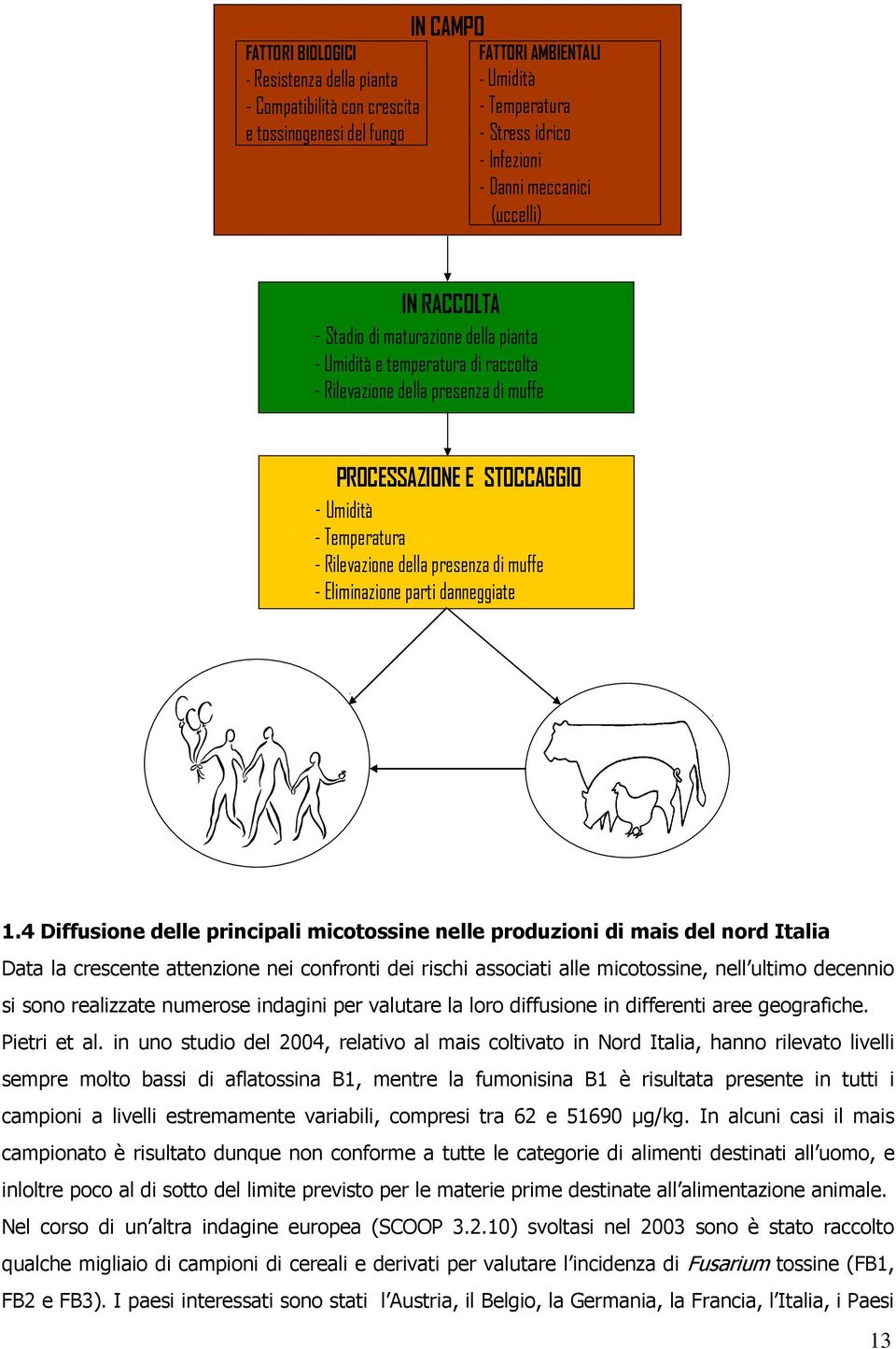 della presenza di muffe - Eliminazione parti danneggiate 1.