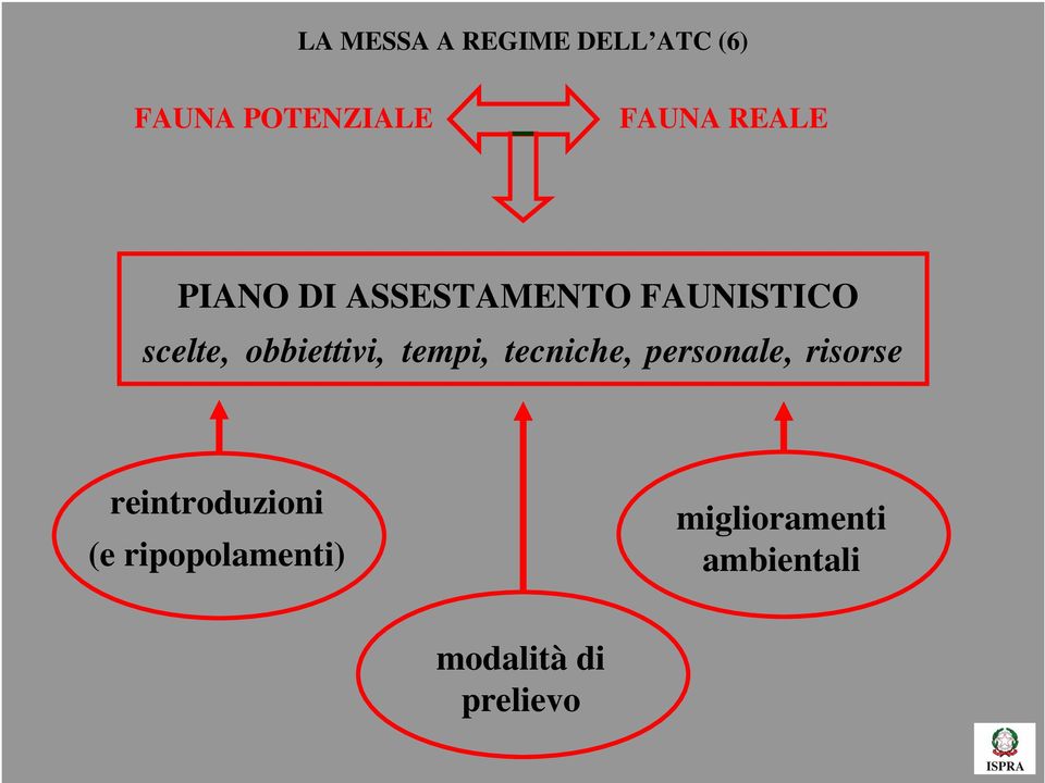 obbiettivi, tempi, tecniche, personale, risorse