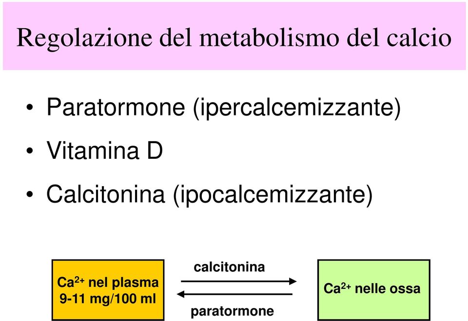 Calcitonina (ipocalcemizzante) Ca 2+ nel