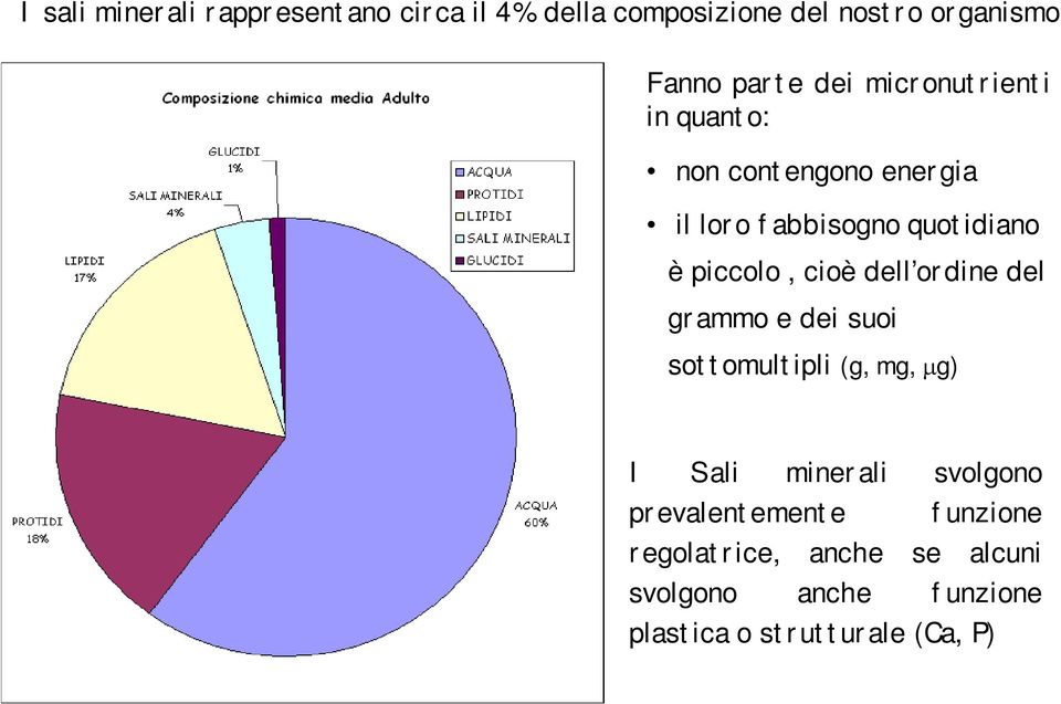 cioè dell ordine del grammo e dei suoi sottomultipli (g, mg, mg) I Sali minerali svolgono