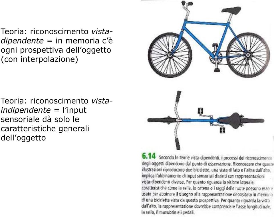 Teoria: riconoscimento vistaindipendente = l input