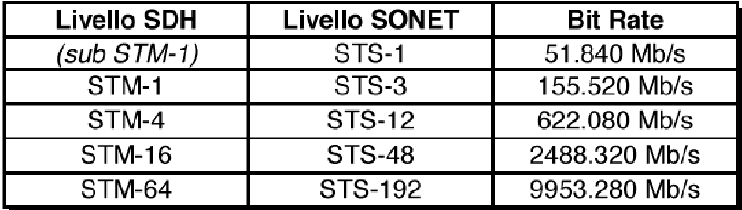 Il livello di percorso, il cosiddetto Path Layer, è l insieme delle risorse trasmissive che vanno dal primo terminale SDH che riceve il tributario VC, Virtual Container, all ultimo terminale SDH che