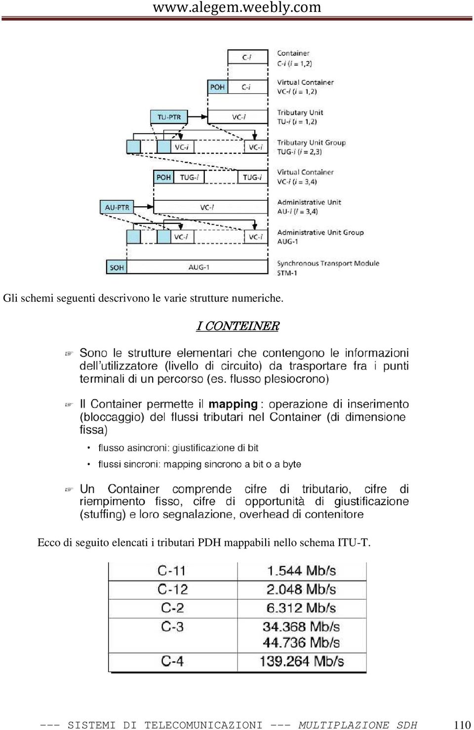 I CONTEINER Ecco di seguito elencati i tributari