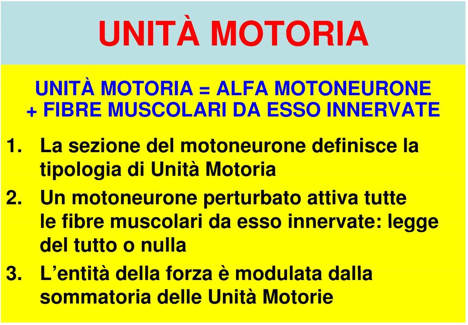 Un motoneurone perturbato attiva tutte le fibre muscolari da esso innervate: