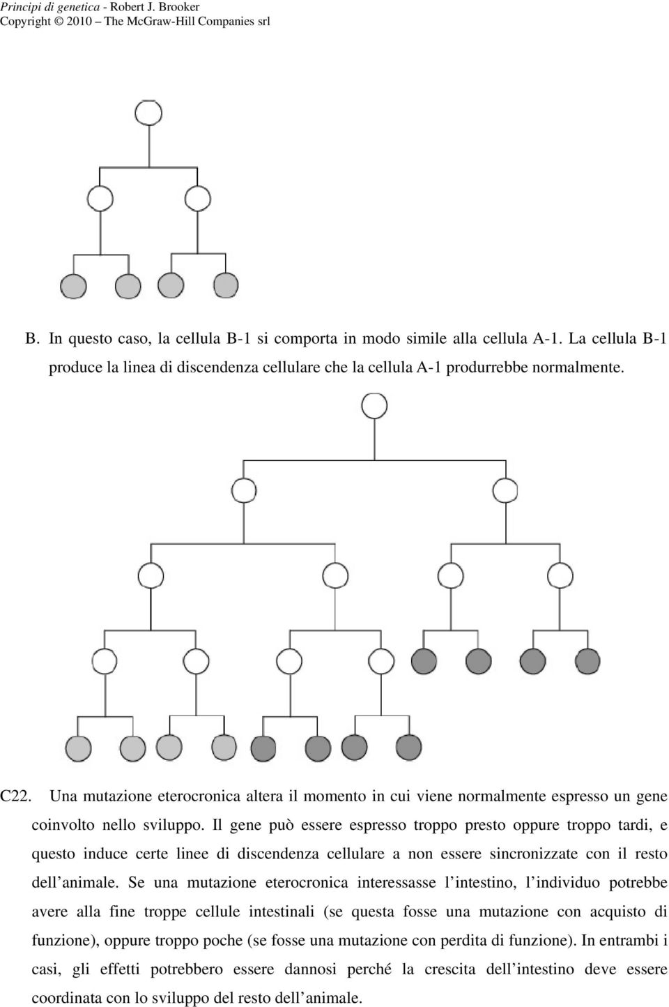 Il gene può essere espresso troppo presto oppure troppo tardi, e questo induce certe linee di discendenza cellulare a non essere sincronizzate con il resto dell animale.