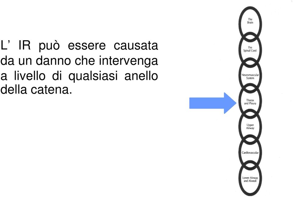 intervenga a livello di