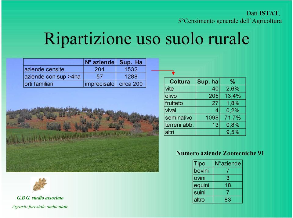 Sup. ha % vite 40 2,6% olivo 205 13,4% frutteto 27 1,8% vivai 4 0,2% seminativo 1098 71,7% terreni abb.