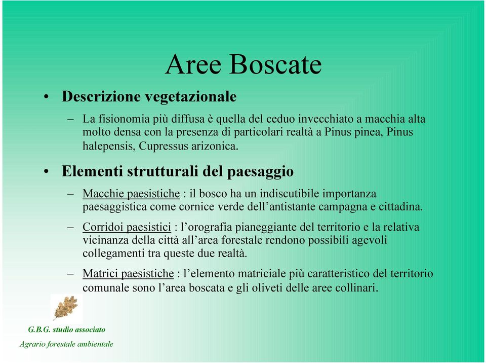 Elementi strutturali del paesaggio Macchie paesistiche : il bosco ha un indiscutibile importanza paesaggistica come cornice verde dell antistante campagna e cittadina.