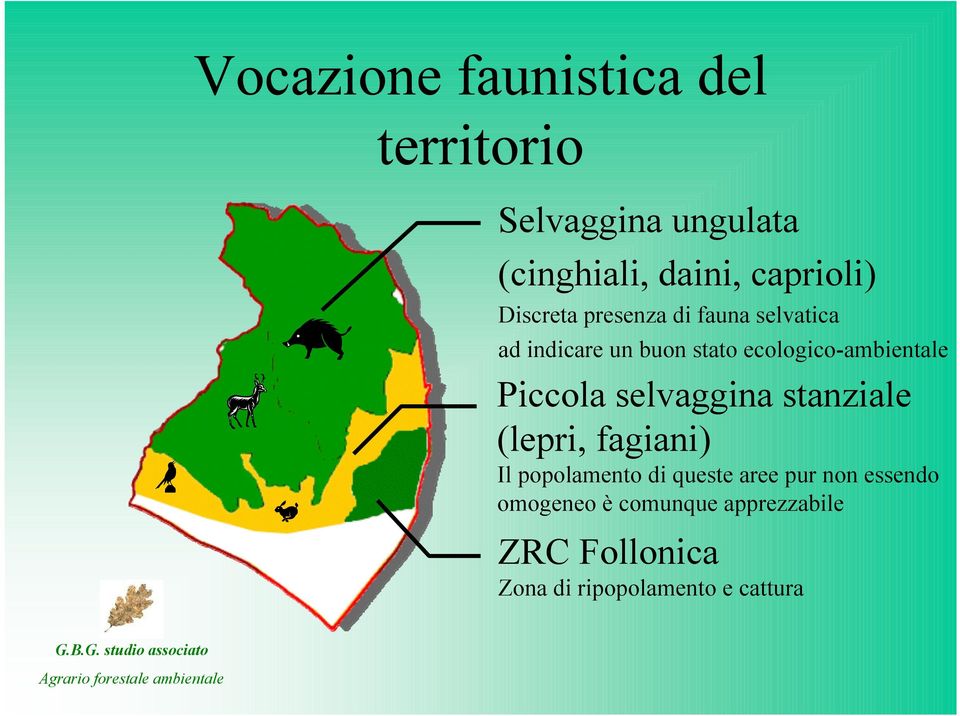 Piccola selvaggina stanziale (lepri, fagiani) Il popolamento di queste aree pur non