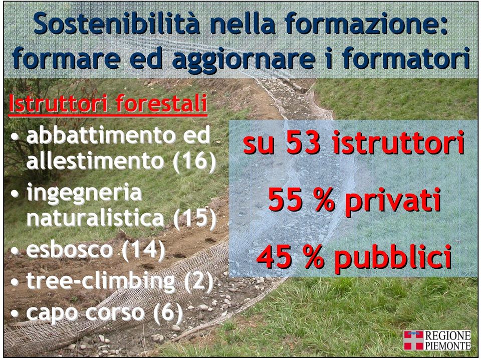 (16) ingegneria naturalistica (15) esbosco (14)