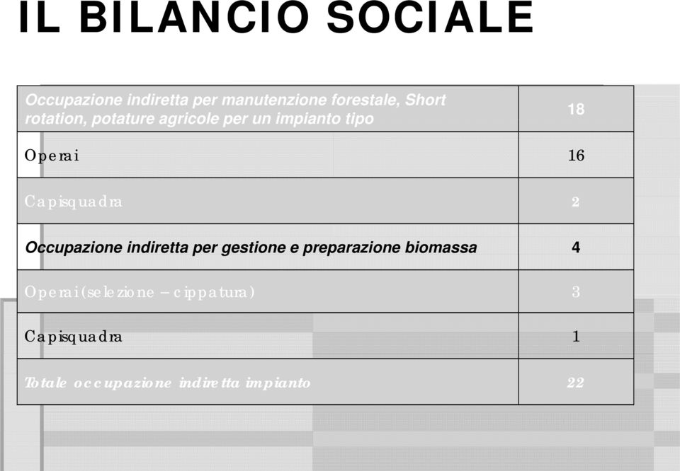 Capisquadra 2 Occupazione indiretta per gestione e preparazione biomassa 4