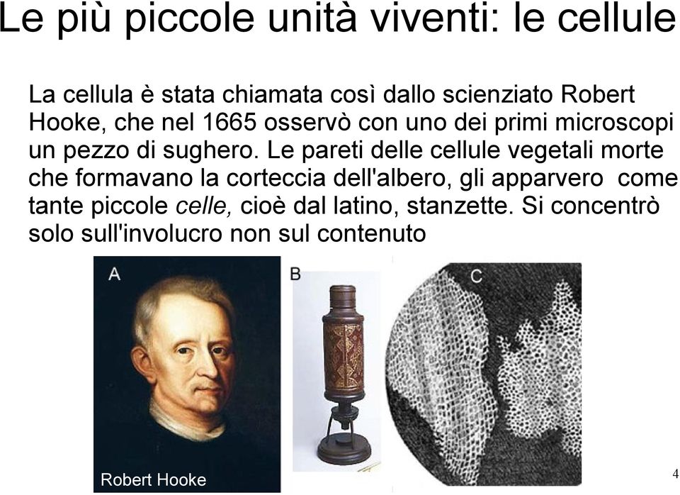 Le pareti delle cellule vegetali morte che formavano la corteccia dell'albero, gli apparvero