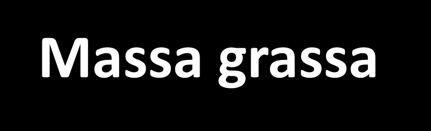 DISTRIBUZIONE CORPOREA Massa grassa Per grasso essenziale, o grasso primario, si intende la quota di adipe contenuta nel sistema nervoso centrale, nel midollo osseo, nelle ghiandole mammarie, nei