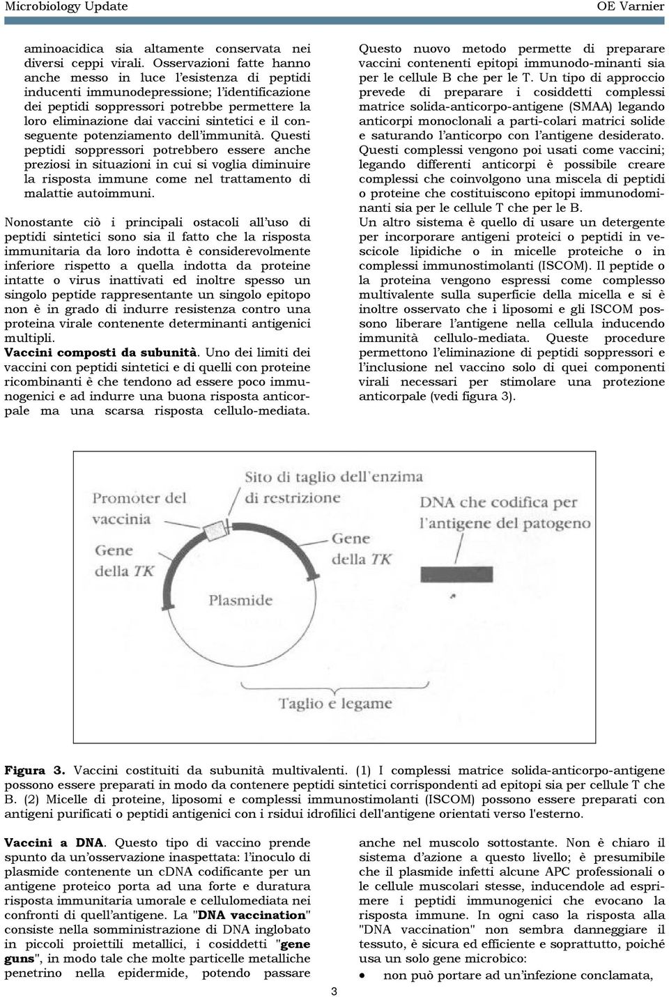 sintetici e il conseguente potenziamento dell immunità.