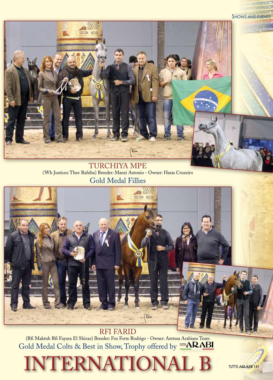 Shiraz) Breeder: Foz Forte Rodrigo - Owner: Aretusa Arabians Team Gold