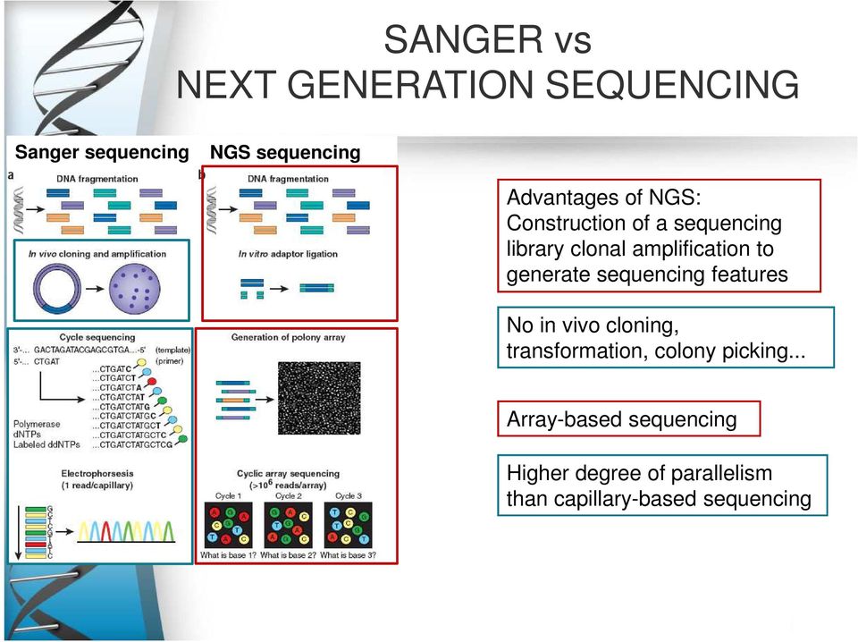 to generate sequencing features No in vivo cloning, transformation, colony