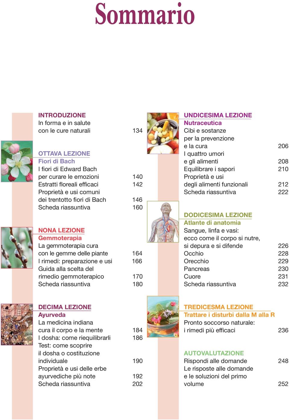 rimedio gemmoterapico 170 Scheda riassuntiva 180 UNDICESIMA LEZIONE Nutraceutica Cibi e sostanze per la prevenzione e la cura 206 I quattro umori e gli alimenti 208 Equilibrare i sapori 210 Proprietà