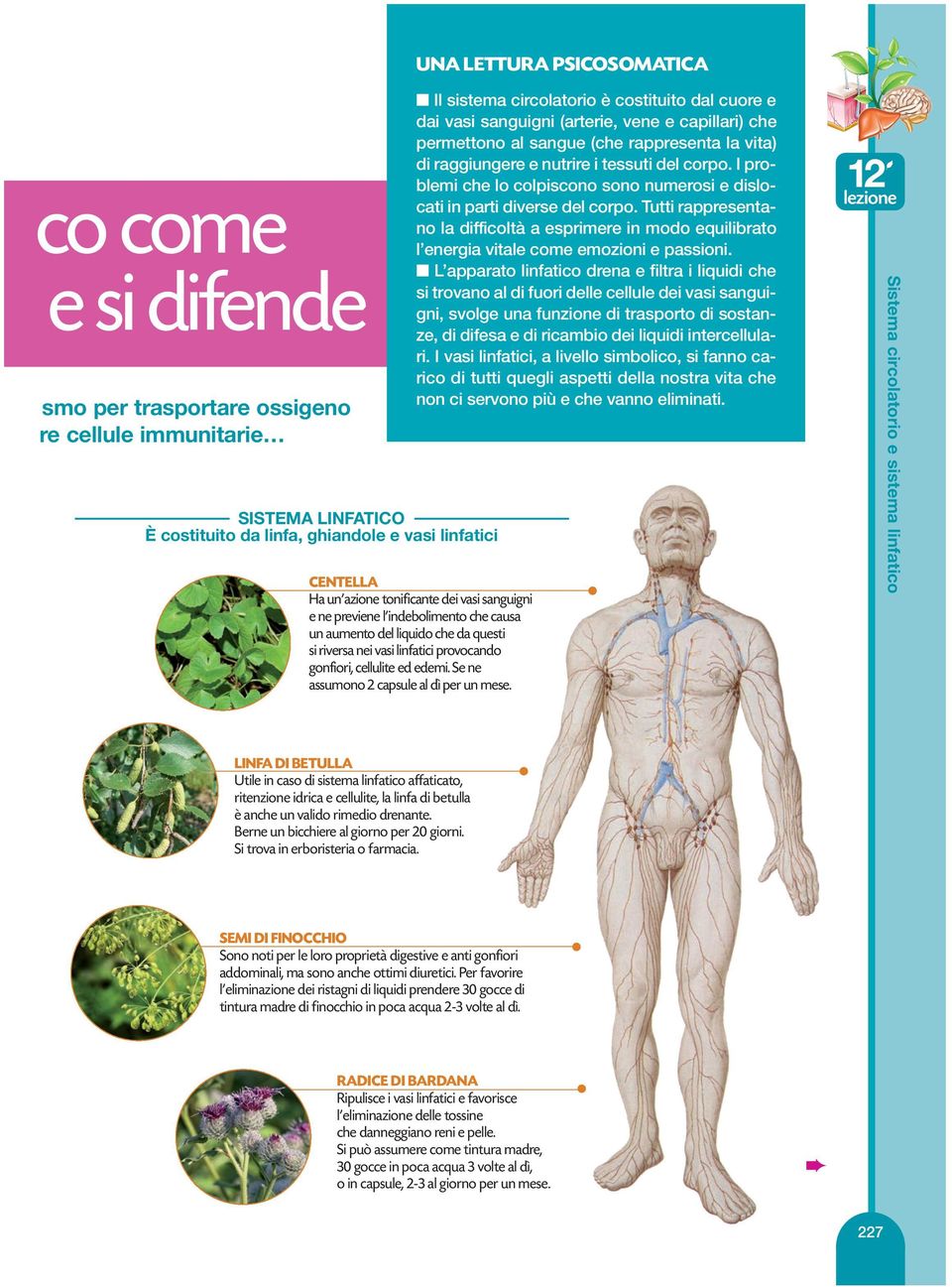 I problemi che lo colpiscono sono numerosi e dislocati in parti diverse del corpo. Tutti rappresentano la difficoltà a esprimere in modo equilibrato l energia vitale come emozioni e passioni.