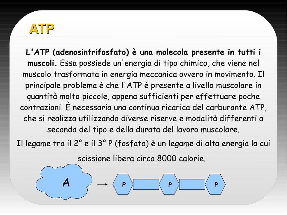 Il principale problema è che l'atp è presente a livello muscolare in quantità molto piccole, appena sufficienti per effettuare poche contrazioni.