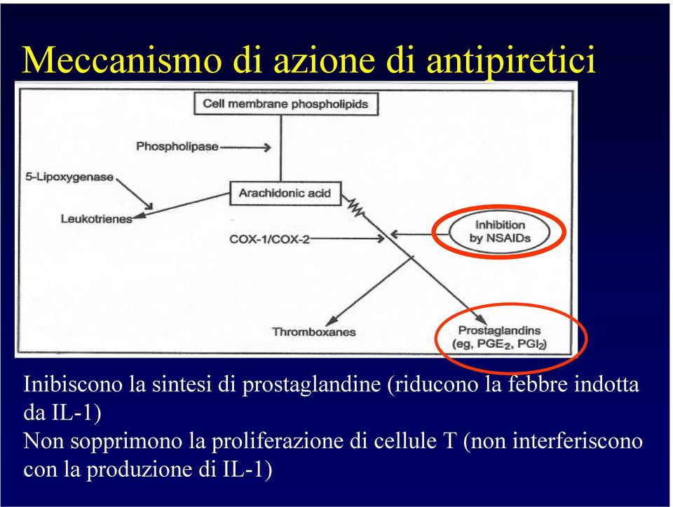 indotta da IL-1) Non sopprimono la proliferazione