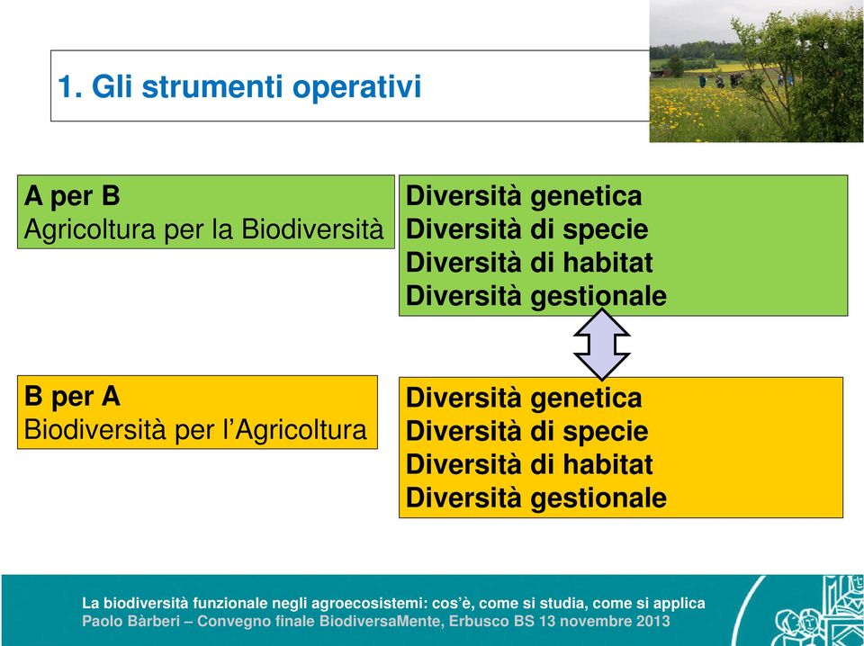 Diversità di specie Diversità di habitat Diversità gestionale La biodiversità funzionale negli