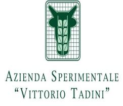 Innocenti Azienda Agraria Sperimentale Marani - Ravenna D. Tassi; F.