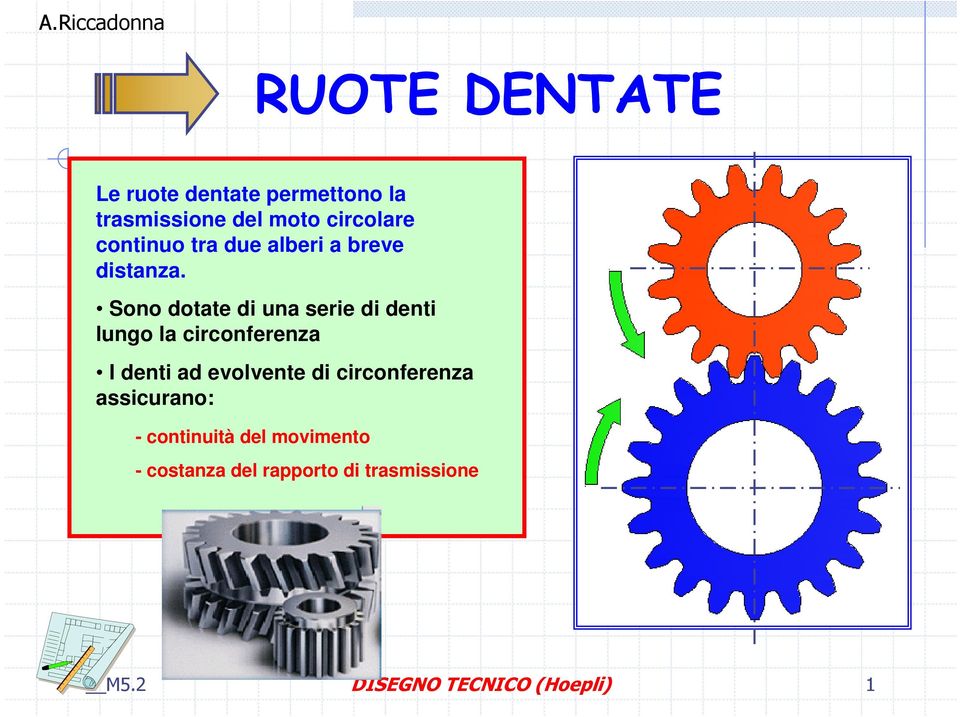 Sono dotate di una serie di denti lungo la circonferenza I denti ad evolvente di