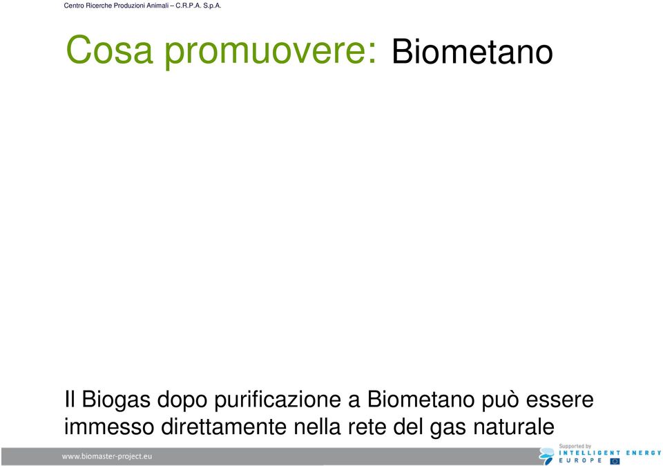 Biometano può essere immesso