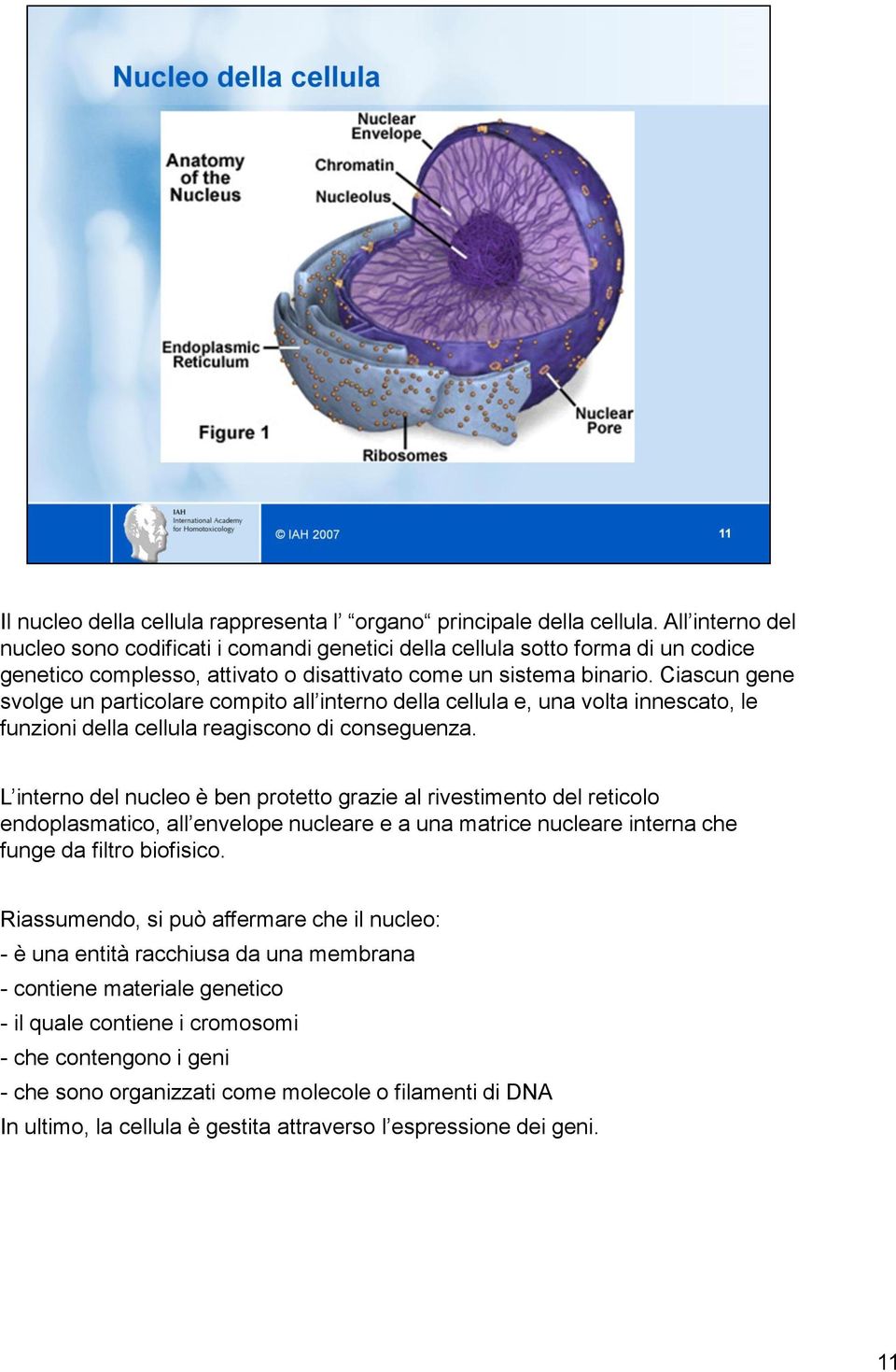 Ciascun gene svolge un particolare compito all interno della cellula e, una volta innescato, le funzioni della cellula reagiscono di conseguenza.