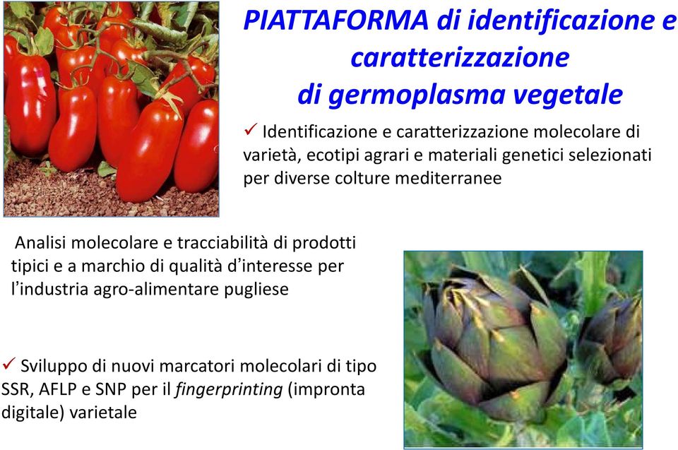 molecolare e tracciabilità di prodotti tipici e a marchio di qualità d interesse per l industria agro-alimentare