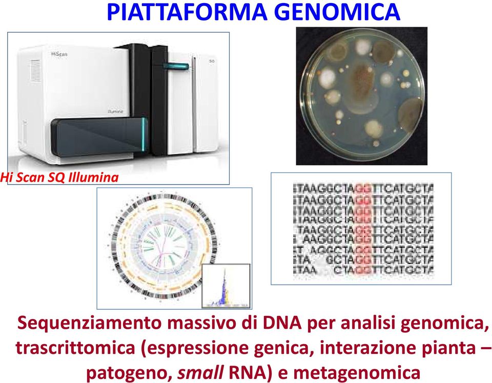 genomica, trascrittomica (espressione genica,