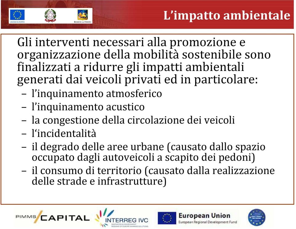 inquinamento acustico la congestione della circolazione dei veicoli l incidentalità il degrado delle aree urbane (causato dallo