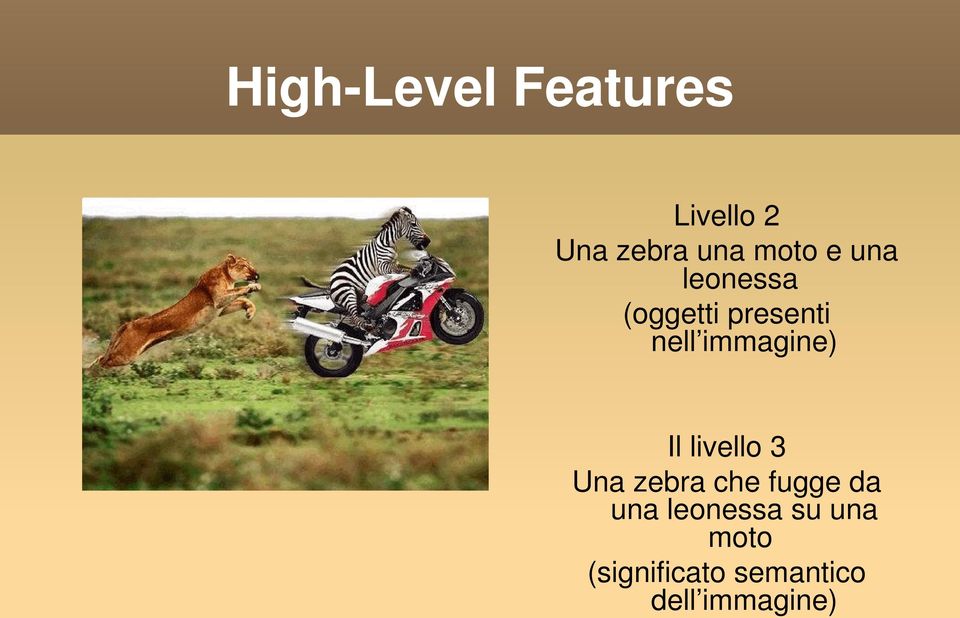 Il livello 3 Una zebra che fugge da una leonessa