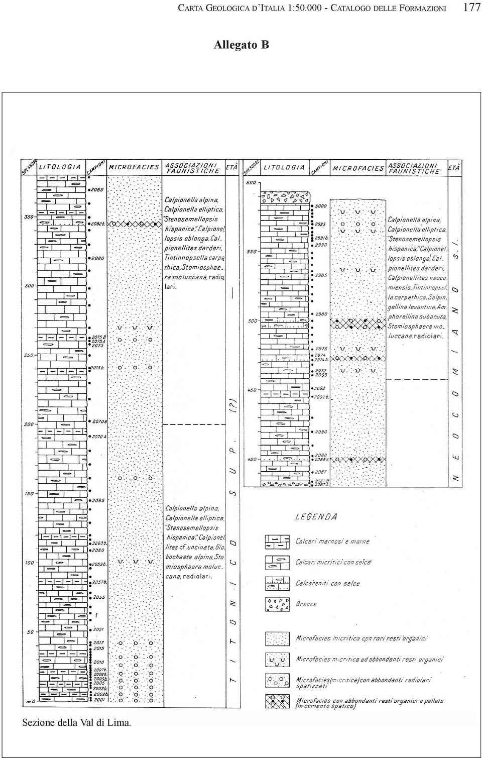 FORMAZIONI 177 Allegato B