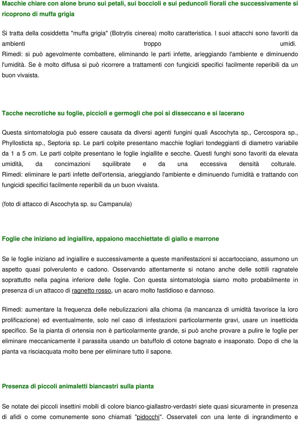 Se è molto diffusa si può ricorrere a trattamenti con fungicidi specifici facilmente reperibili da un buon vivaista.