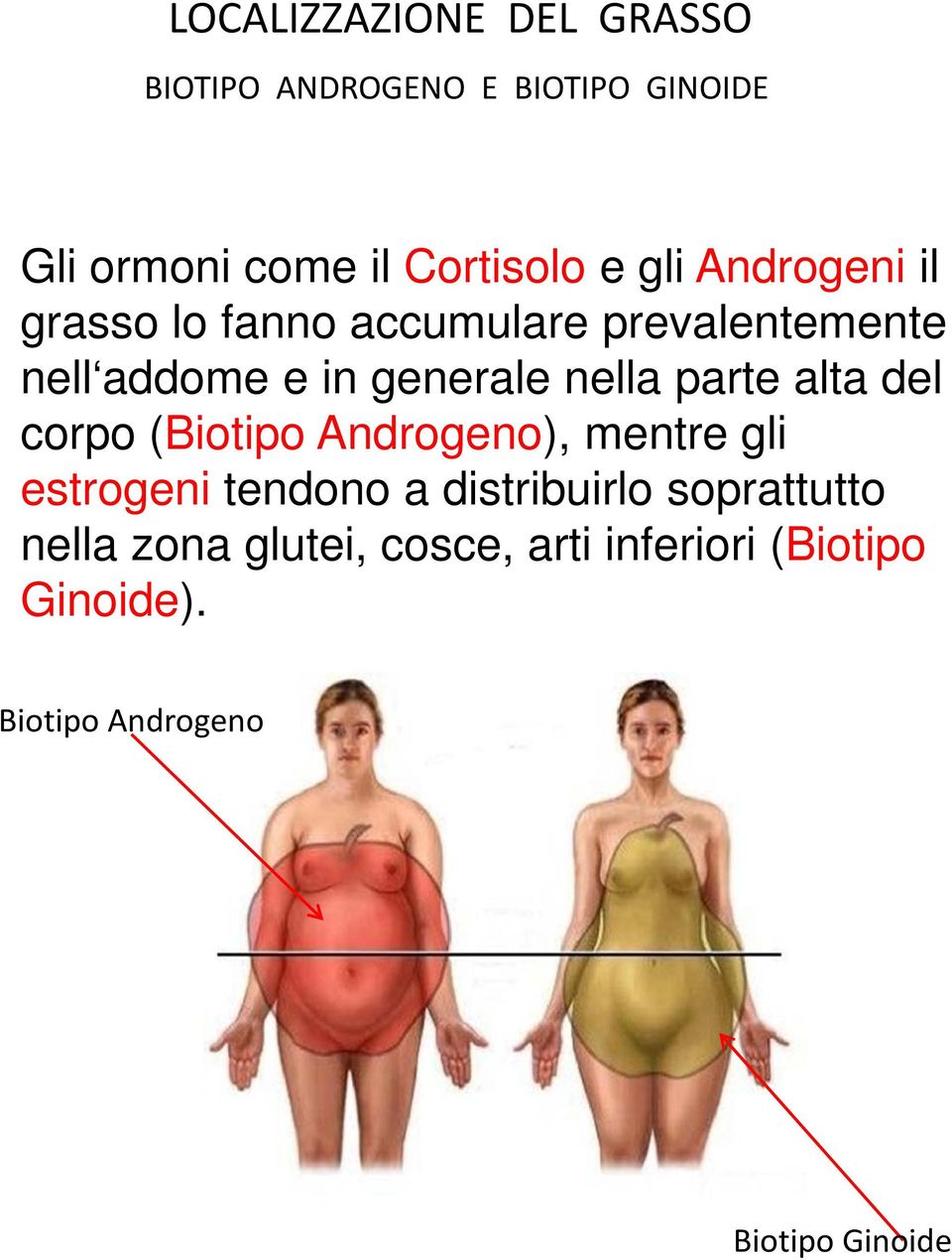 parte alta del corpo (Biotipo Androgeno), mentre gli estrogeni tendono a distribuirlo